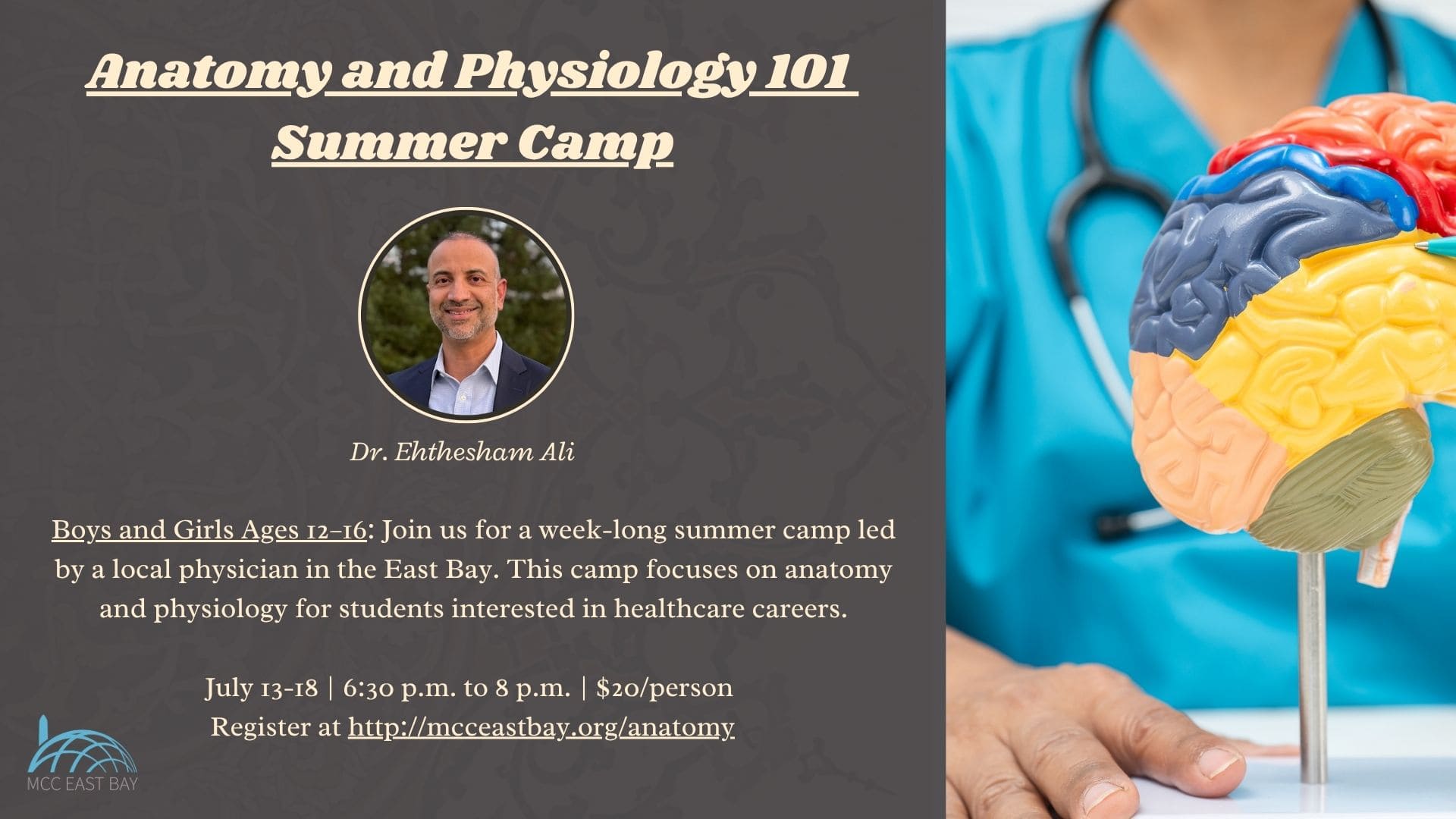 Anatomy and Physiology 101: Teen Summer Camp