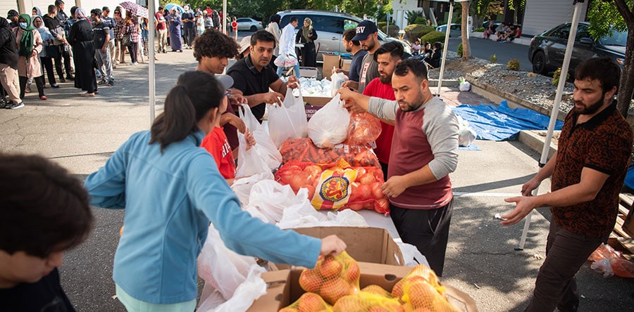 MCC Pantry Volunteer Opportunity