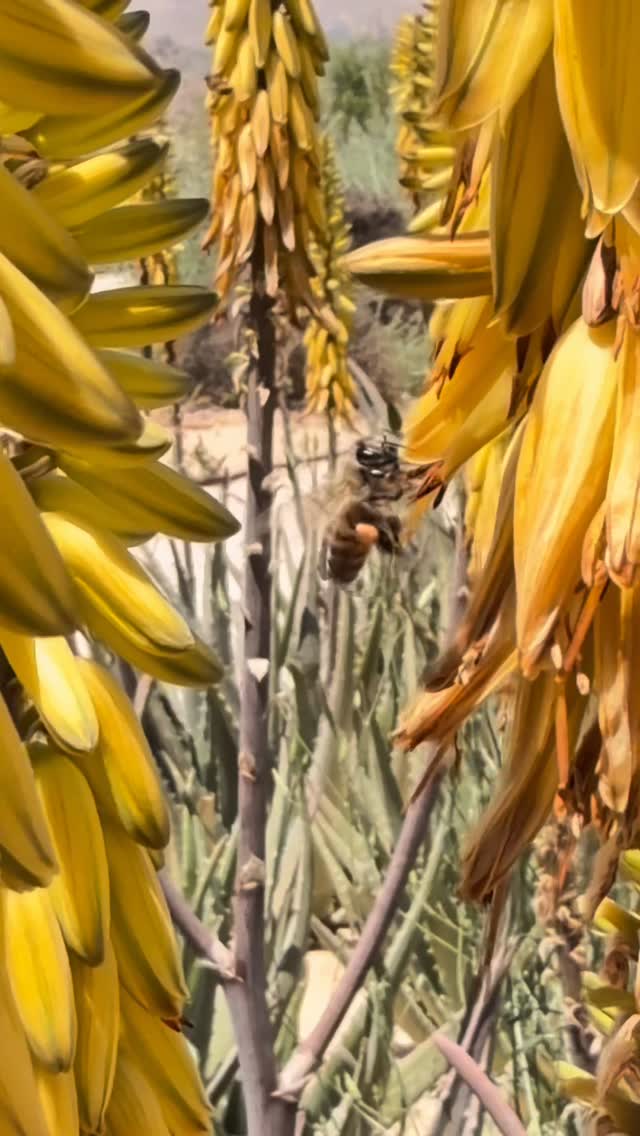مكان واحد في الأردن…
بيعطيك هدوء الطبيعة 🌿
وبنفس الوقت جرعة أدرينالين 🔥
من