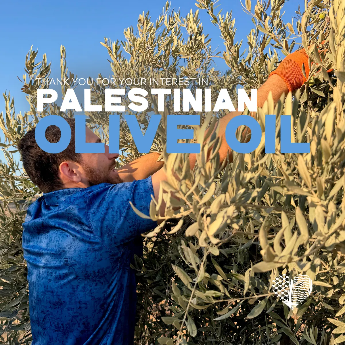 Palestinian Olive Oil Tank (Deir Abu Mash'al)