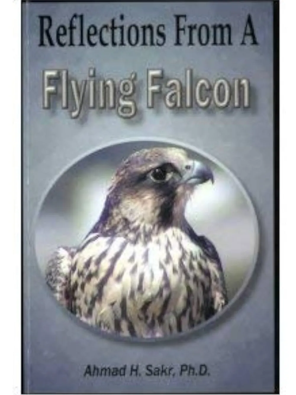 Reflections From A Flying Falcon