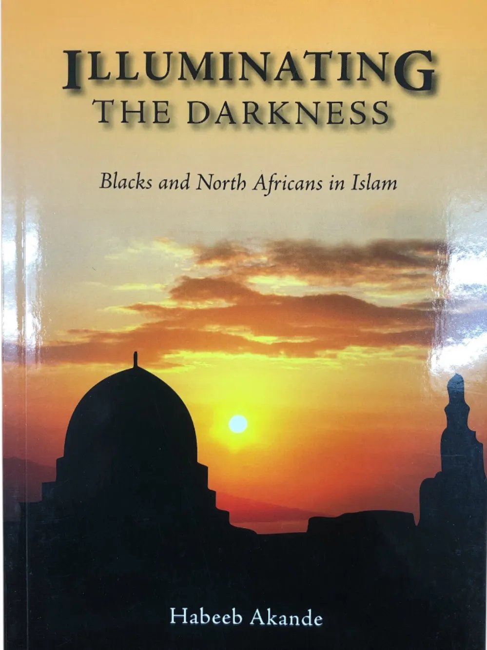 Illuminating the Darkness