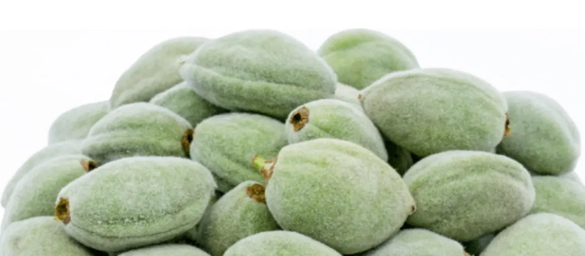 Green Almonds Fresh
