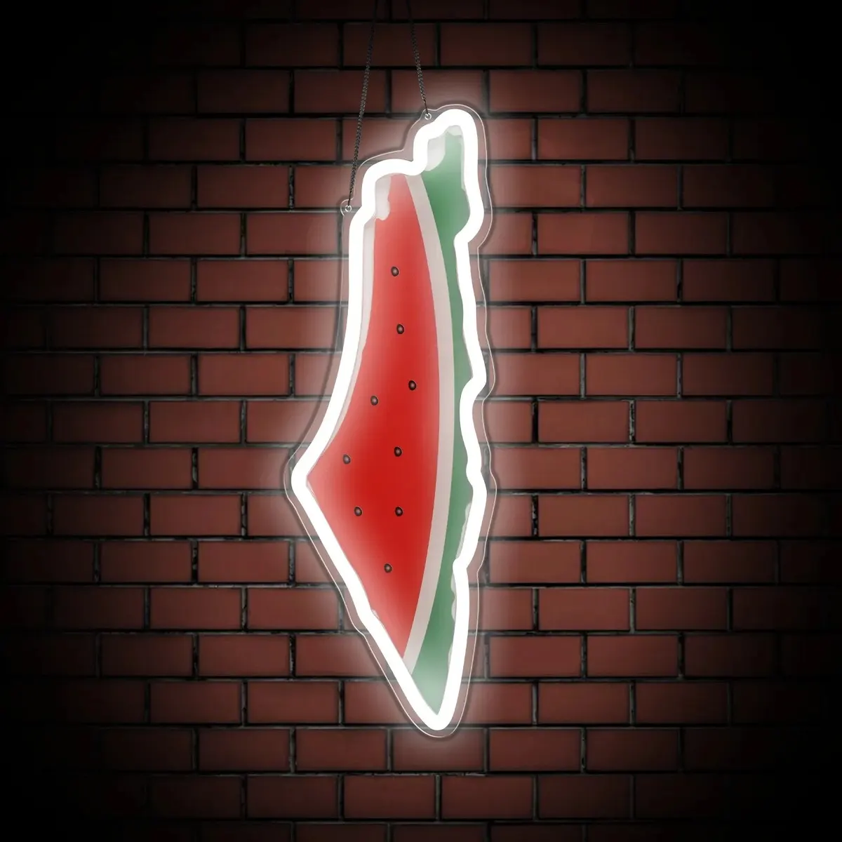 Palestinian Watermelon Map Neon Light