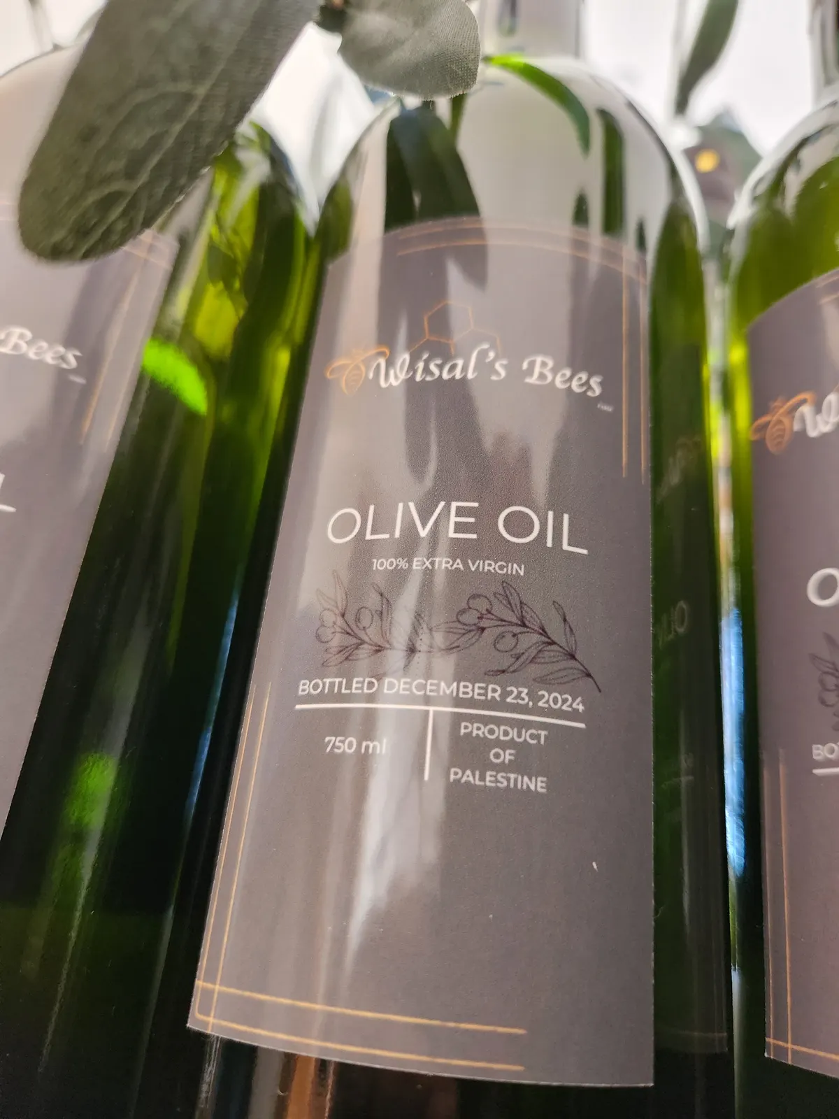 Olive Oil. Fresh Squeezed    from Palestine