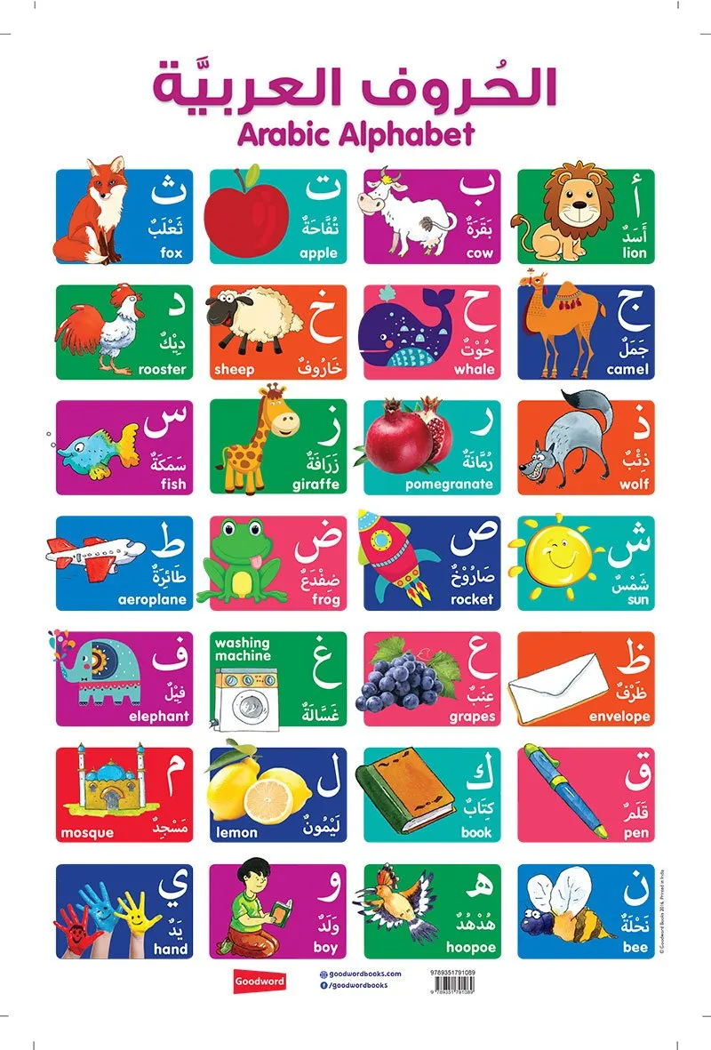 Arabic Alphabet Wall Chart (20" x 30")