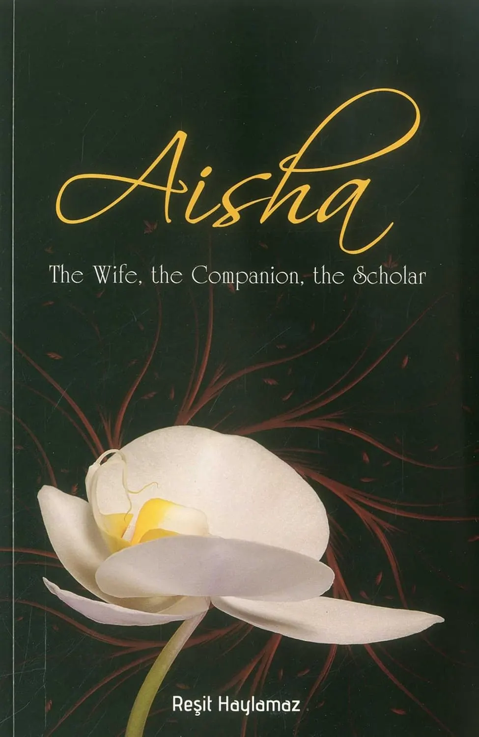 Aisha - The Wife, the Companion, the Scholar
