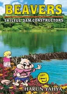 Beavers: Skilful Dam Constructors (PB)