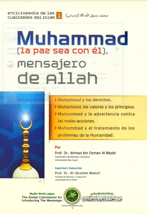 Muhammad (la paz sea con el), Mansajero de Allah