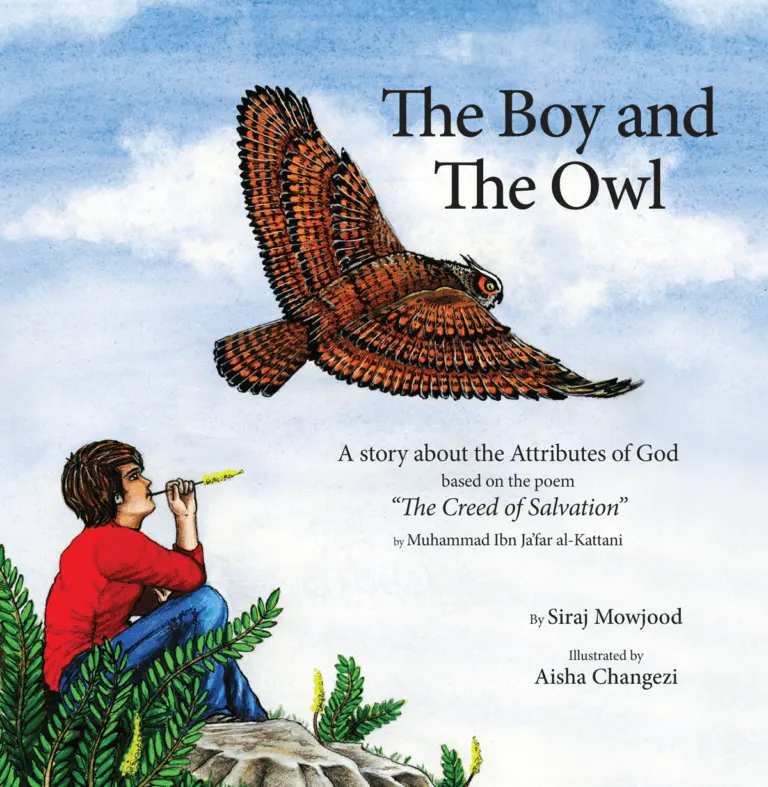 The Boy and The Owl